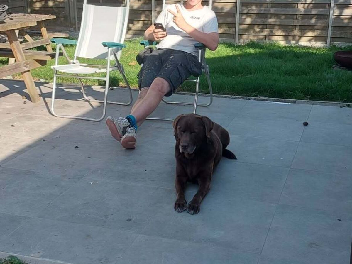 3117daca 14e6 4293 a4e9 ec61392f671c