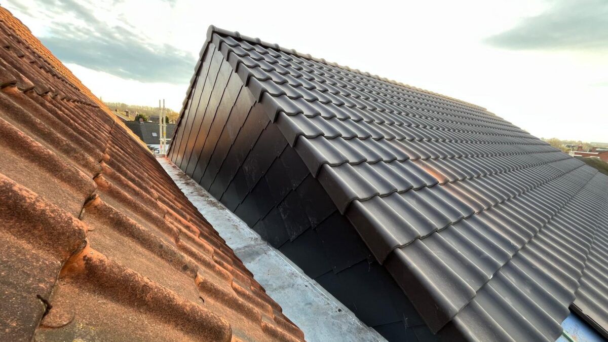 Whats App Image 2026 04 01 at 16 08 45 - foto 7